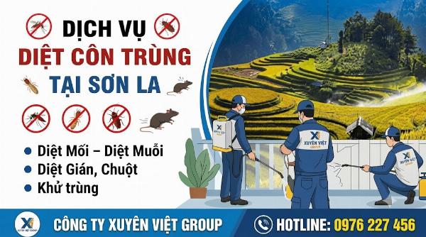 Dịch vụ diệt côn trùng Sơn La