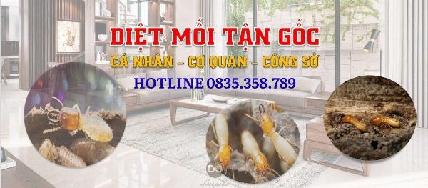 Dịch vụ diệt mối tại Thái Nguyên triệt để, có mặt nhanh