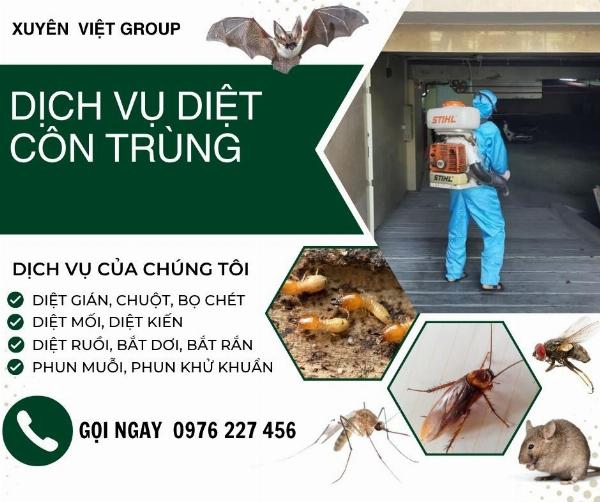 Dịch vụ diệt côn trùng Bắc Giang – 6 Sai Lầm Cần Tránh