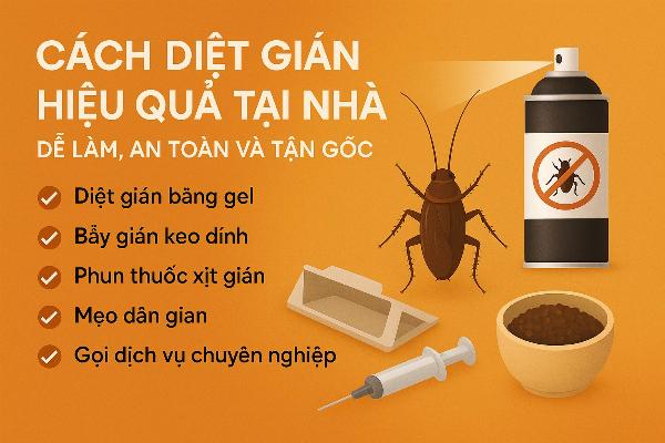 Cách Diệt Gián Hiệu Quả Nhất 2025