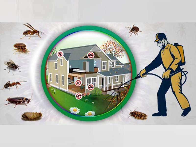 Khuyến mãi dịch vụ kiểm soát côn trùng và sinh vật gây hại