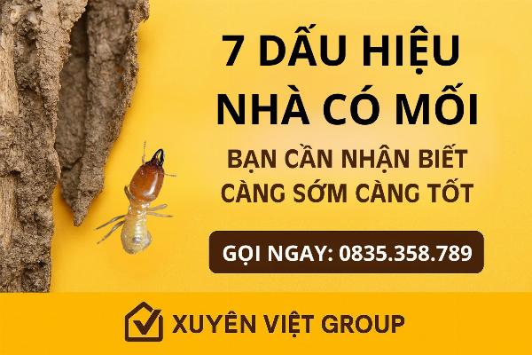 Dấu hiệu nhà bị mối