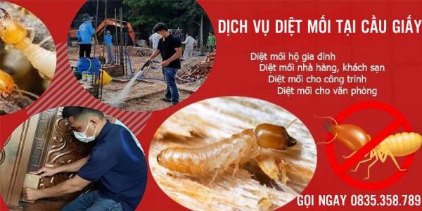 Dịch vụ diệt mối tại Cầu Giấy tận gốc uy tín số 1