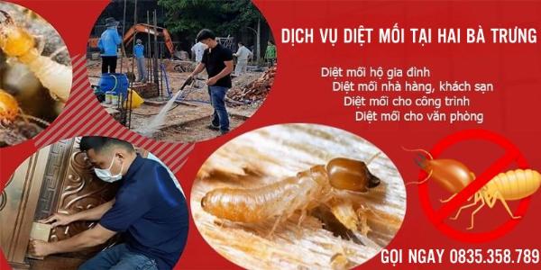 Dịch vụ diệt mối tại Hai Bà Trưng hiệu quả tận gốc
