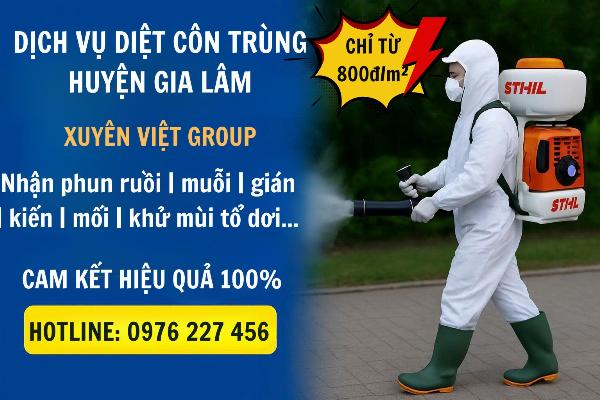 Dịch vụ diệt côn trùng tại Gia Lâm tận gốc, giá rẻ