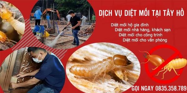 Dịch vụ diệt mối tại Tây Hồ triệt để, hiệu quả 100%