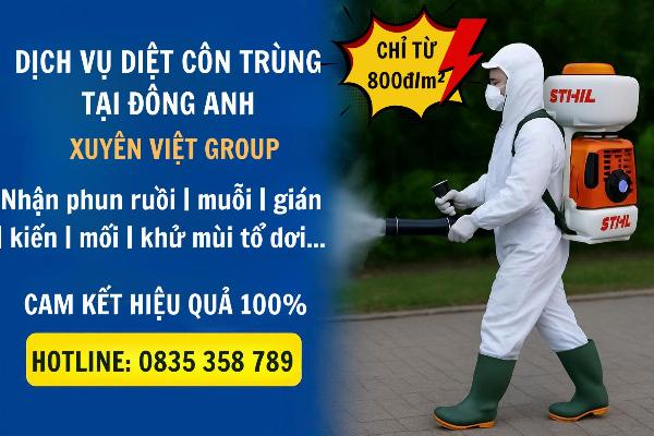 Dịch vụ diệt côn trùng tại Đông Anh giá rẻ từ 800đ/m²