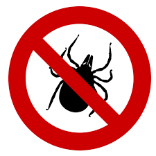Dịch vụ phun thuốc diệt bọ chét tại quận Hoàng Mai-Giá 2021 KM 40%