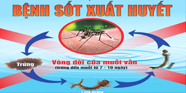 Diệt muỗi Kinh Môn