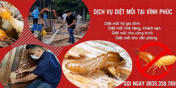 Dịch vụ diệt mối tại Vĩnh Phúc uy tín, hiệu quả 100%