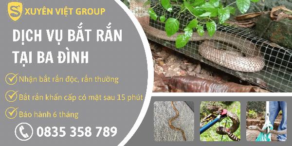 Dịch vụ bắt rắn tại quận Ba Đình uy tín, giá rẻ