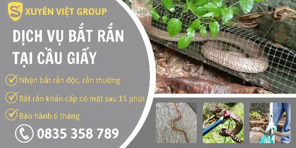 Dịch vụ bắt rắn tại quận Cầu Giấy chuyên nghiệp