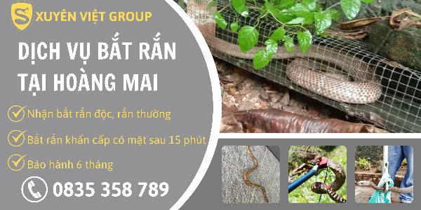 Dịch vụ bắt rắn tại quận Hoàng Mai giá rẻ tận gốc