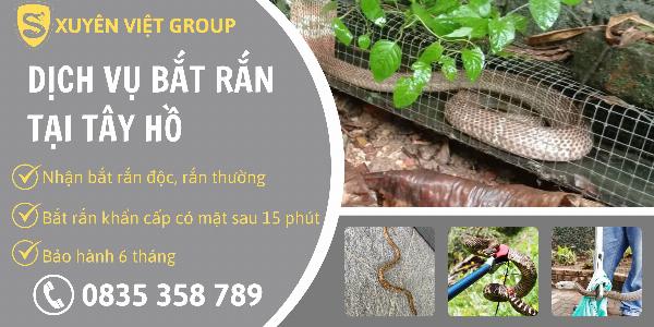Dịch vụ bắt rắn tại quận Tây Hồ