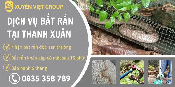 Dịch vụ bắt rắn tại quận Thanh Xuân an toàn, giá rẻ