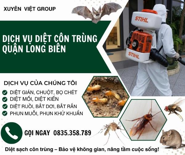 Dịch vụ diệt côn trùng quận Long Biên giá rẻ 800đ/m²