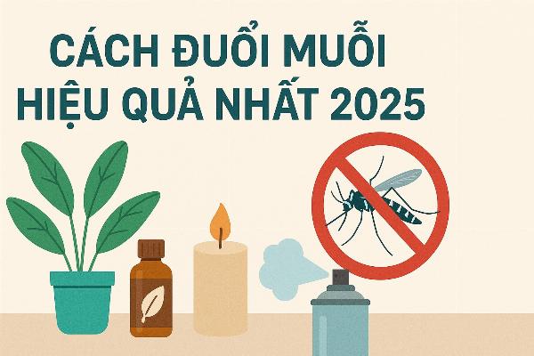 Cách Đuổi Muỗi Hiệu Quả Nhất 2025 
