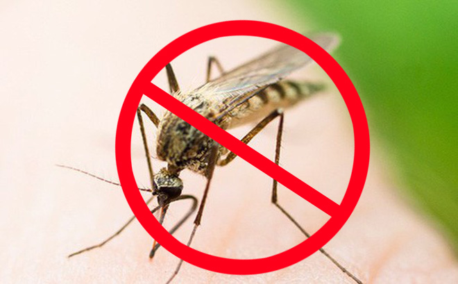 Khuyến mại diệt muỗi tại huyện Gia Lâm