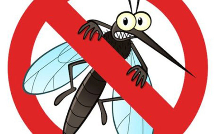 Dịch vụ phun diệt muỗi tại quận Hoàn Kiếm, diệt bọ gậy, loăng quăng